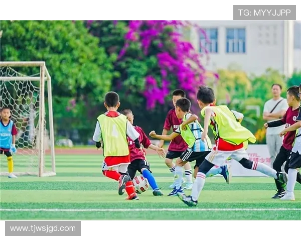 《探索足球的魅力与影响力：从球场到全球文化的深远连接》