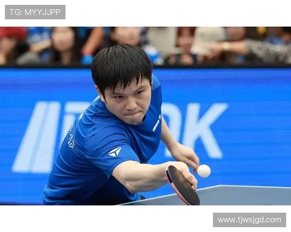 樊振东如何突破瓶颈成就世界乒坛之王的背后故事与训练秘籍