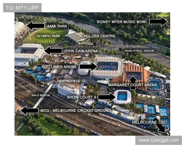 网球运动的魅力与发展探索：从基础技巧到职业生涯的全景分析