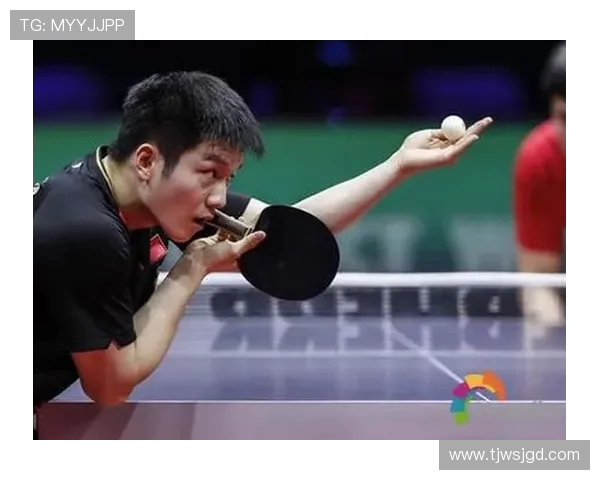 乒乓球运动的魅力与发展历程：从技术革新到国际化的全面解析