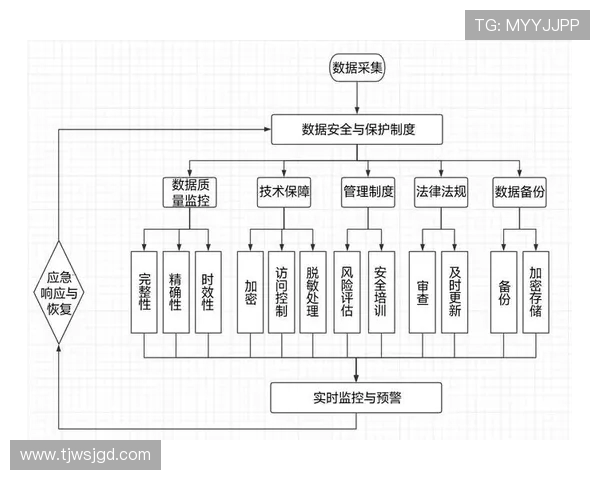 南京羽毛球队战术解析：从技术细节到比赛策略的全面探讨