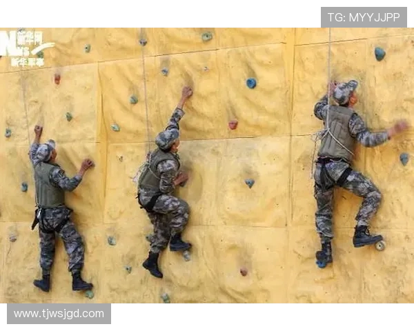 攀岩战术实力榜单权威发布引发热议各界反响积极