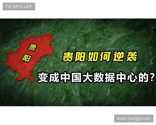 深圳排球队的辉煌之路：从默默无闻到总决赛的传奇蜕变